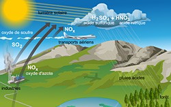 1. pluies acides