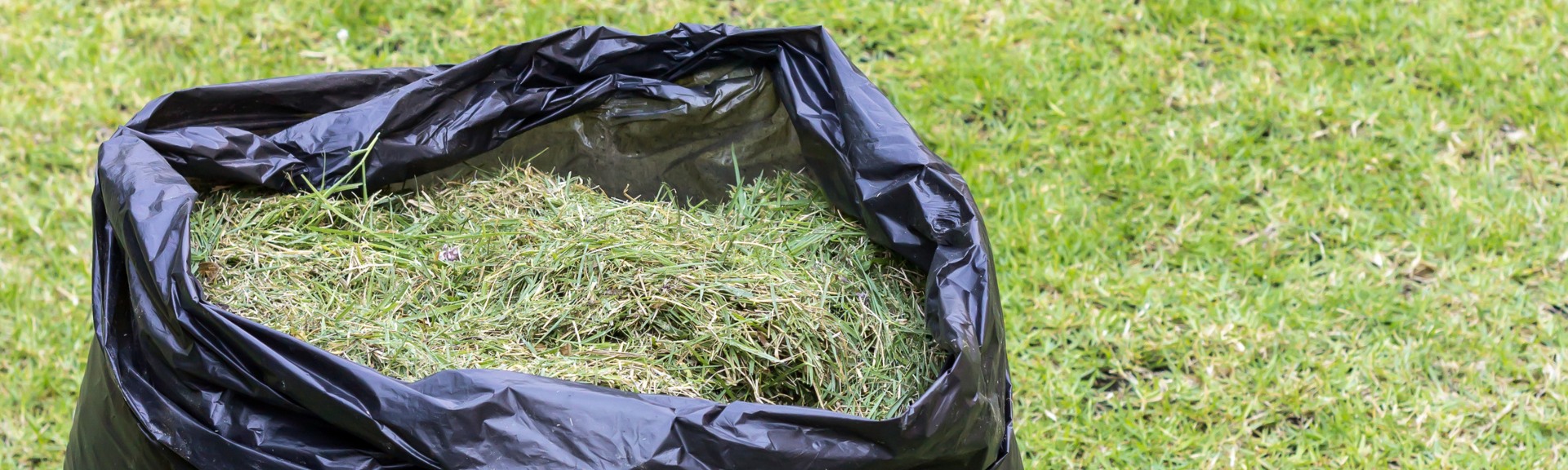 Les solutions pour réutiliser ses déchets verts et biodéchets