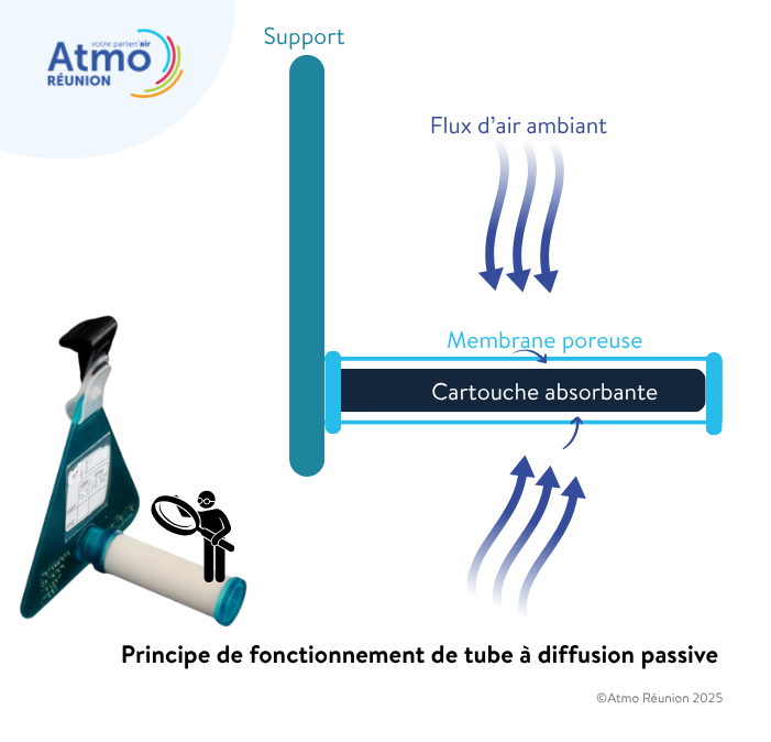 schéma pour montrer comment les polluants sont captés par la cartouche contenue dans le tube.