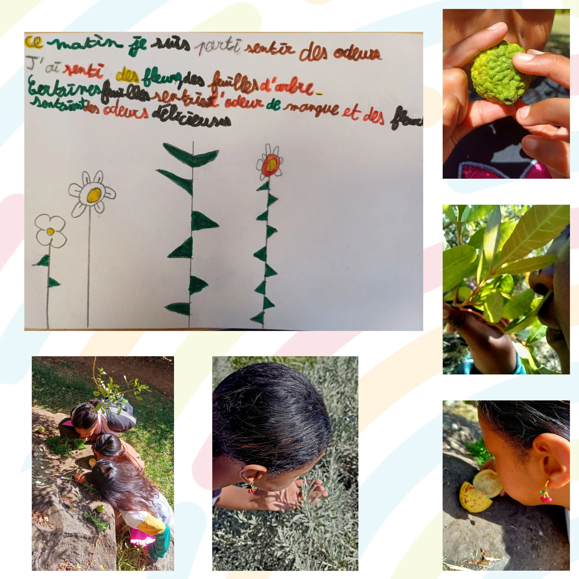 5 photos et 1 texte de la MIO 2025